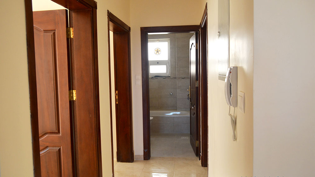 تضامن سيتي 1